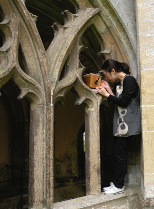 白岩洋子　Yoko Shiraiwa